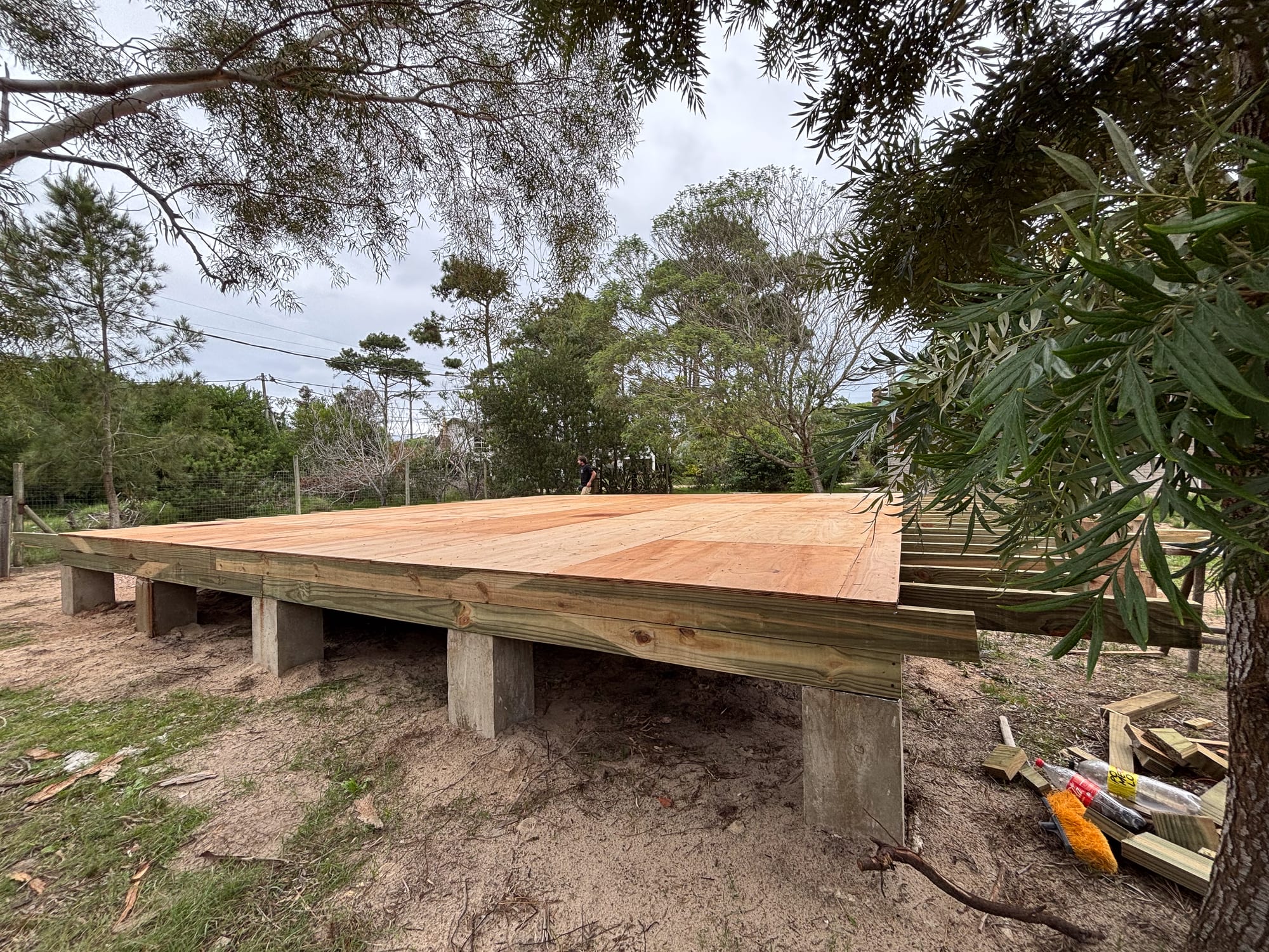 Timber floor structure on concrete piers, pine forest